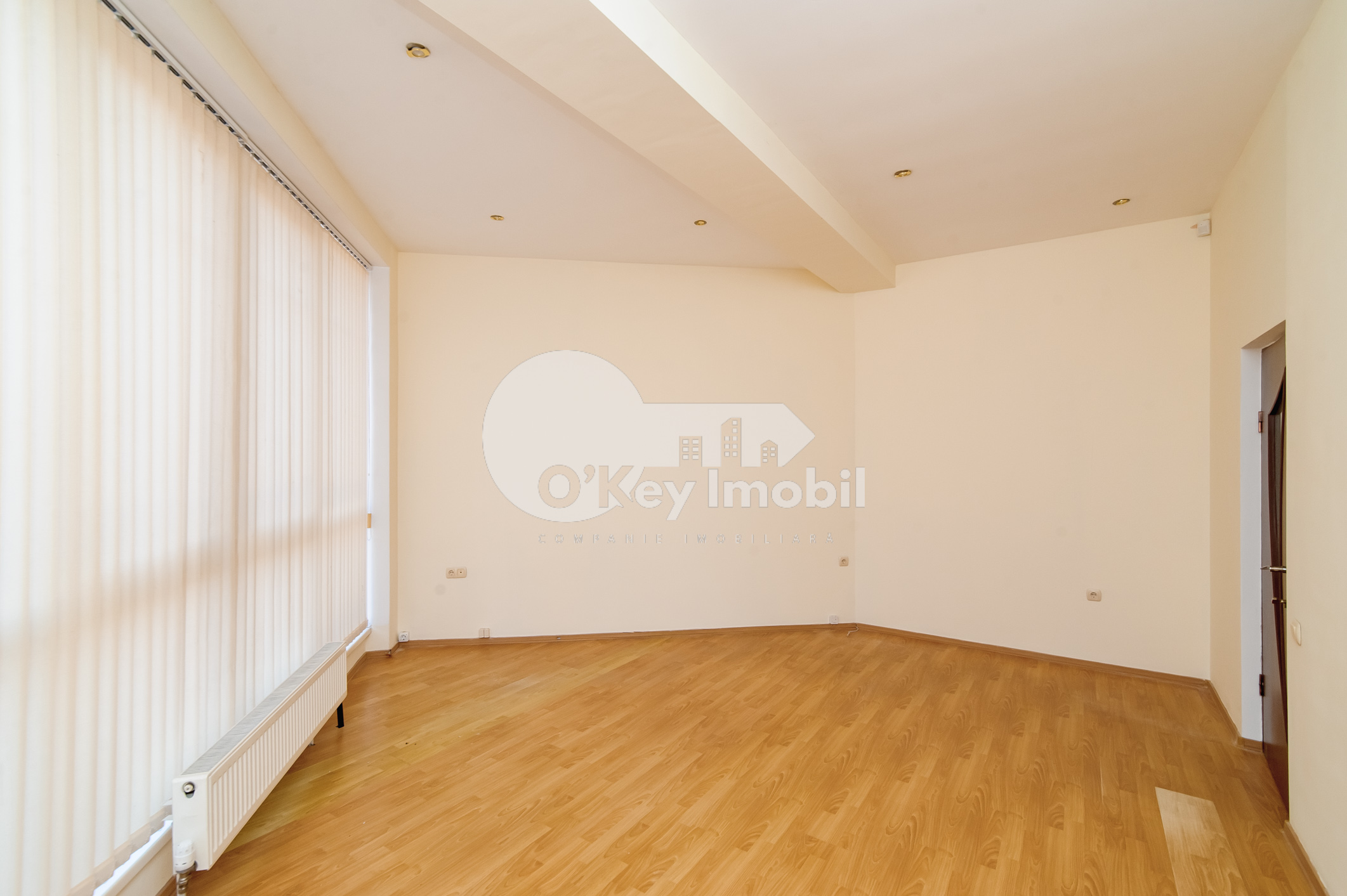 Spațiu comercial, Centru, ALEXEI ȘCIUSEV