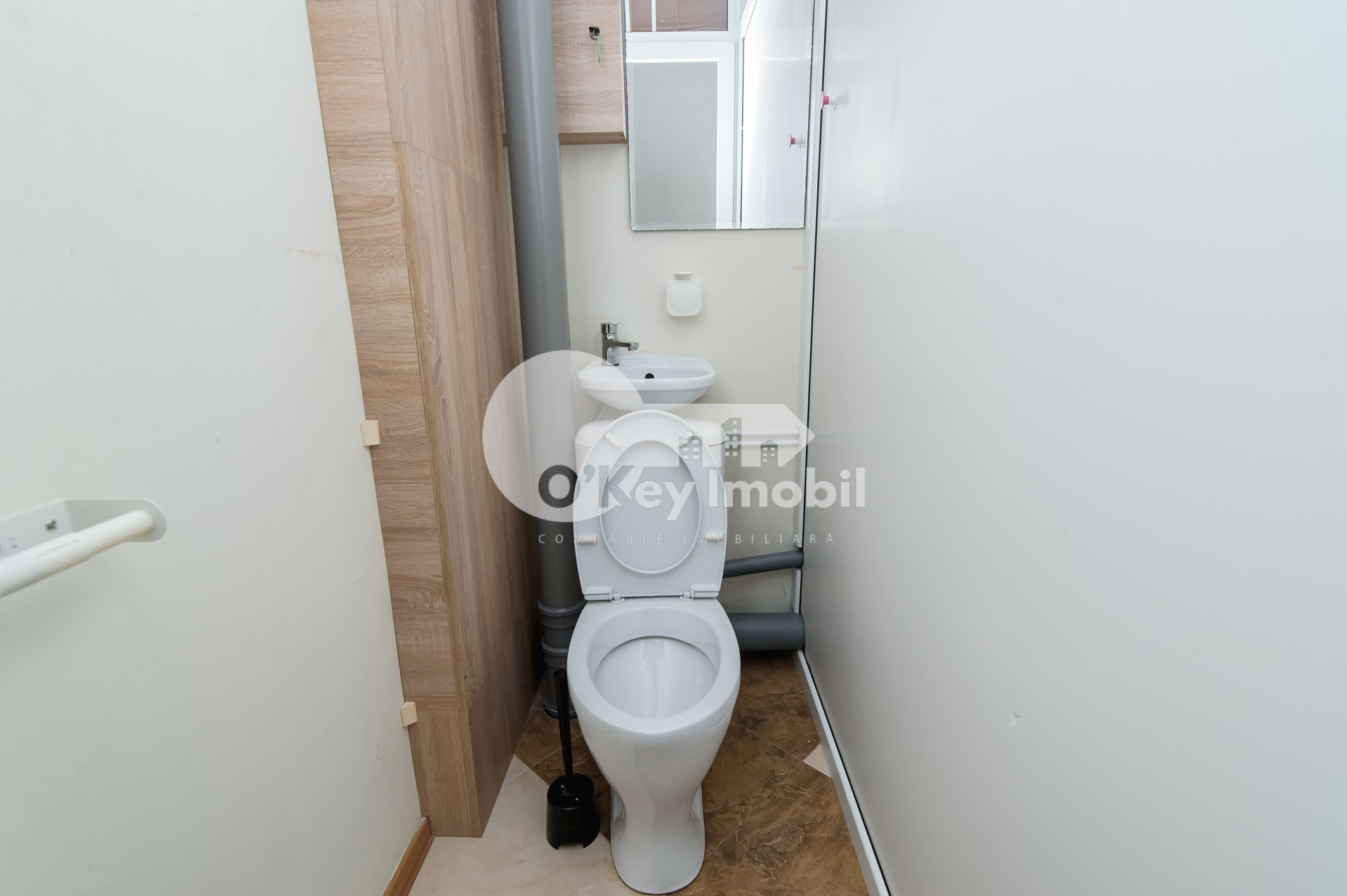 Spațiu comercial, Centru, ALEXEI ȘCIUSEV