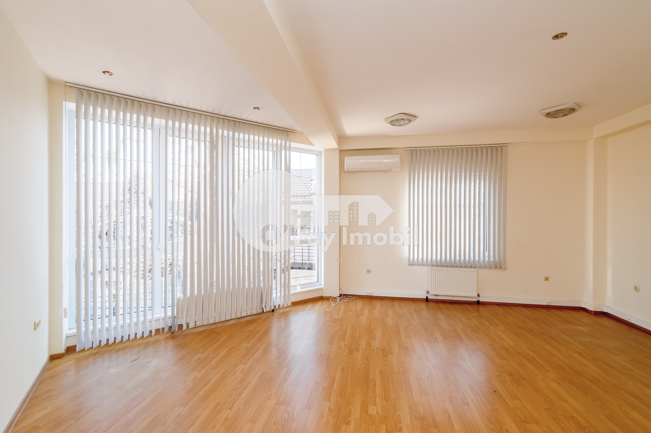 Spațiu comercial, Centru, ALEXEI ȘCIUSEV