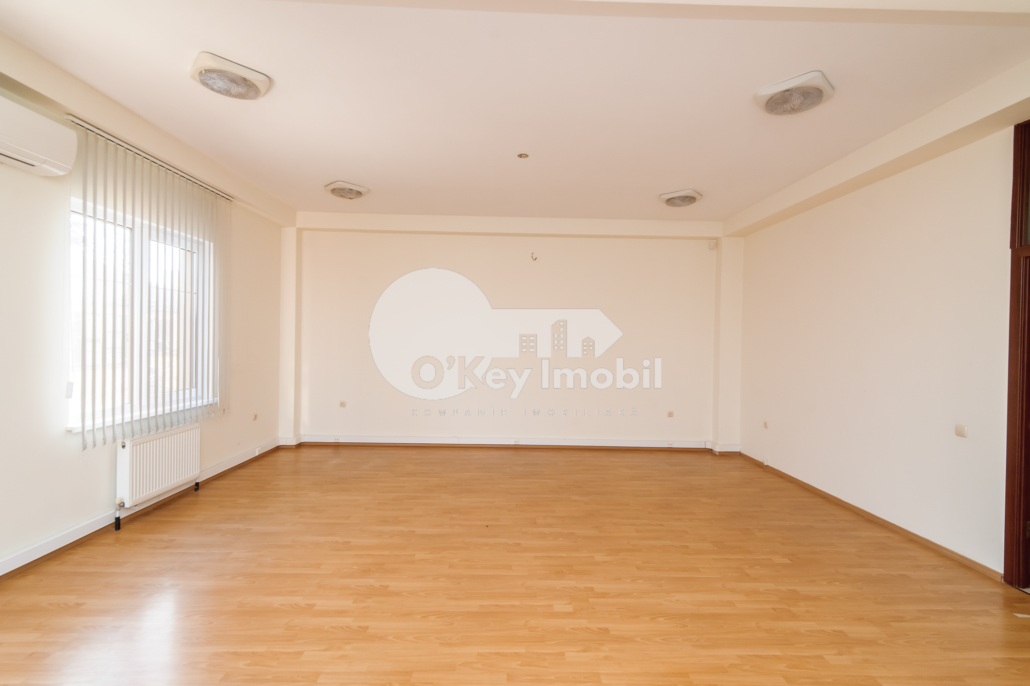 Spațiu comercial, Centru, ALEXEI ȘCIUSEV