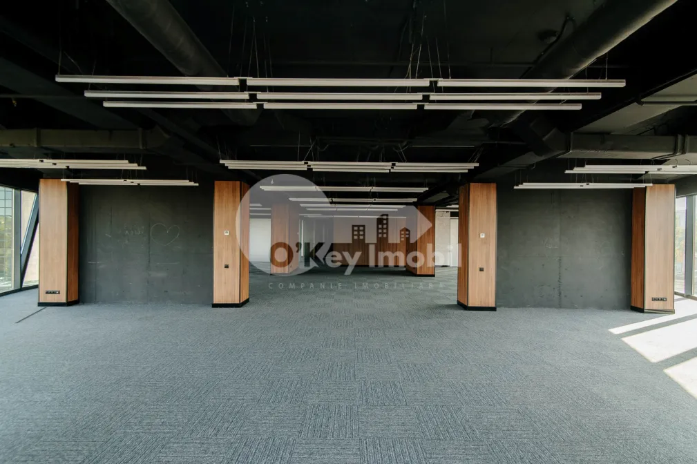 Oficiu, Centru, ȘTEFAN CEL MARE