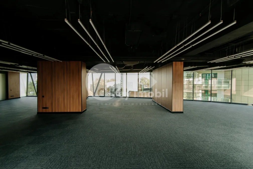 Oficiu, Centru, ȘTEFAN CEL MARE