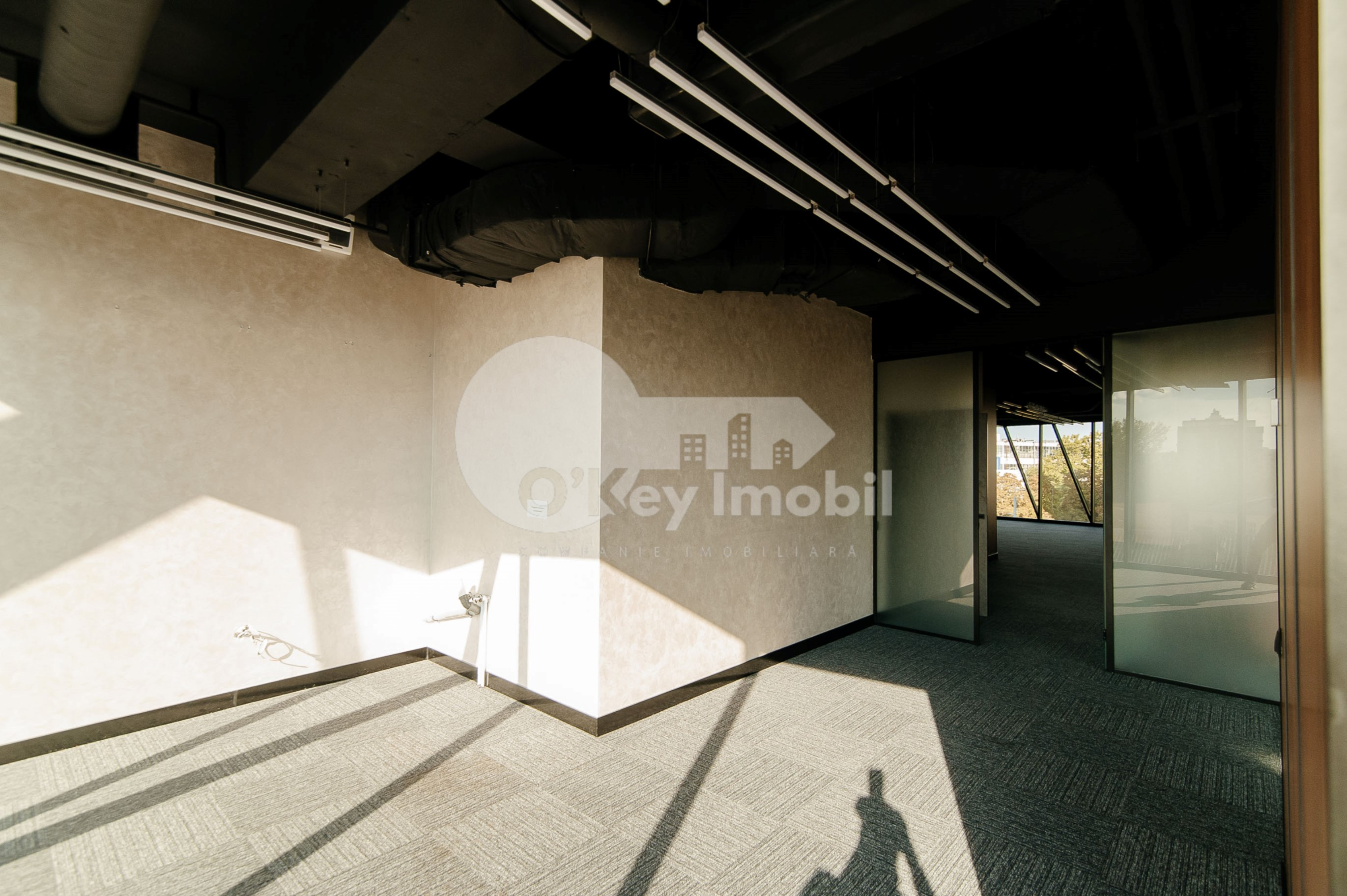 Oficiu, Centru, ȘTEFAN CEL MARE