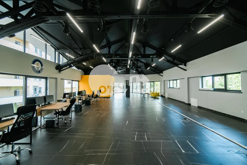 Комм. помещение,  Центр, ТЕСТЕМИЦАНУ