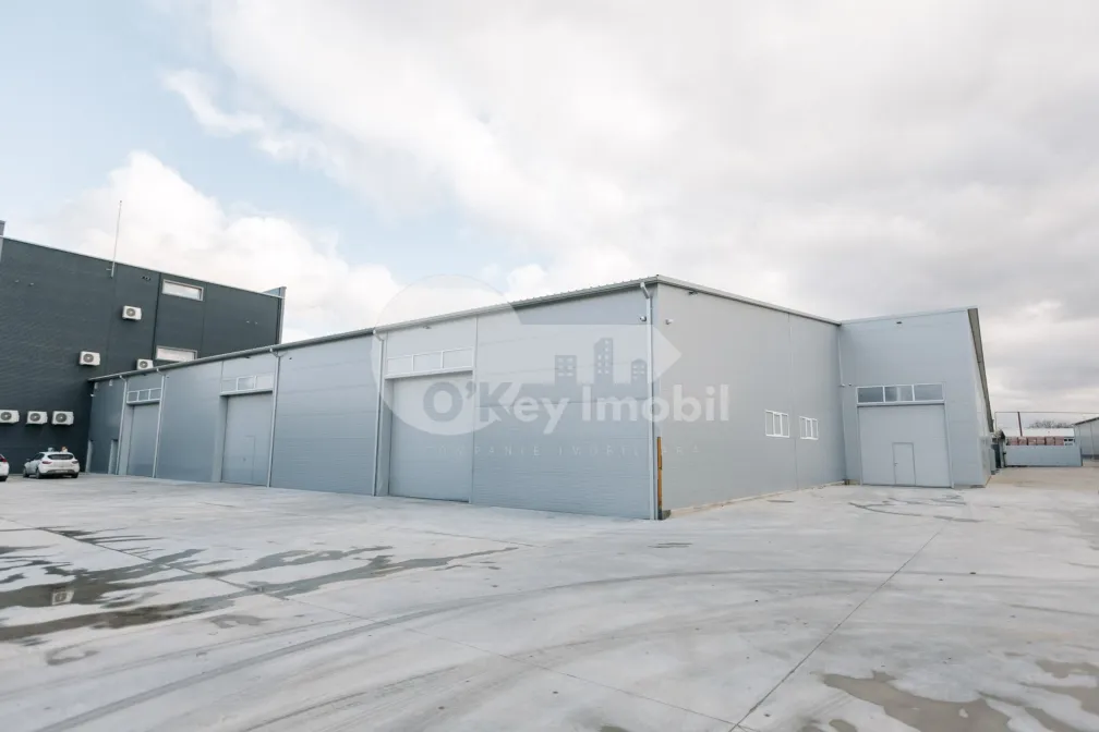 Склад, Чеканы, УЗИНЕЛОР