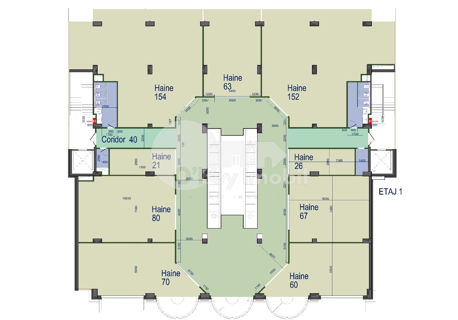 Spațiu comercial, Râșcani, GRIGORE VIERU