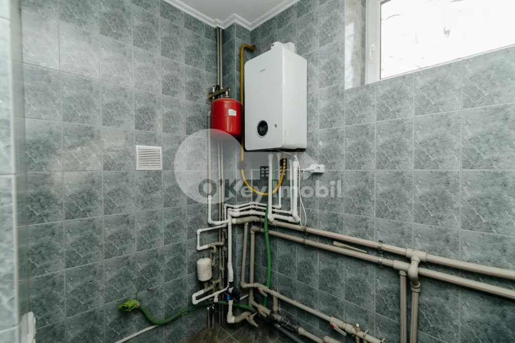 Дом, Ботаника, ЧЕТАТЯ АЛБЭ