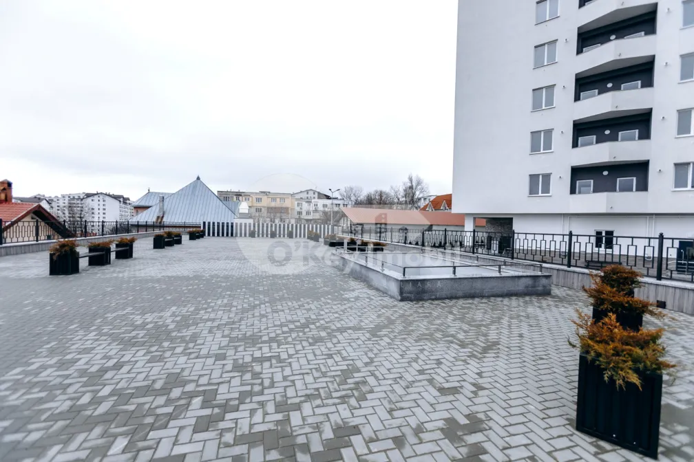 Квартира, Ботаника, ТУДОР СТРИШКЭ