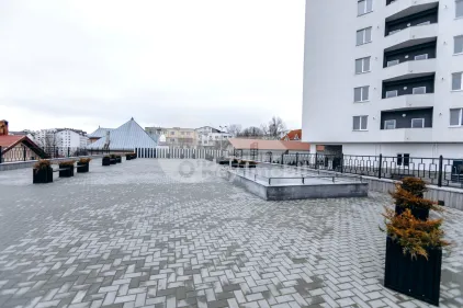 Квартира, Ботаника, ТУДОР СТРИШКЭ