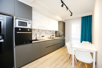 Квартира, Ботаника, ТРАНДАФИРИЛОР