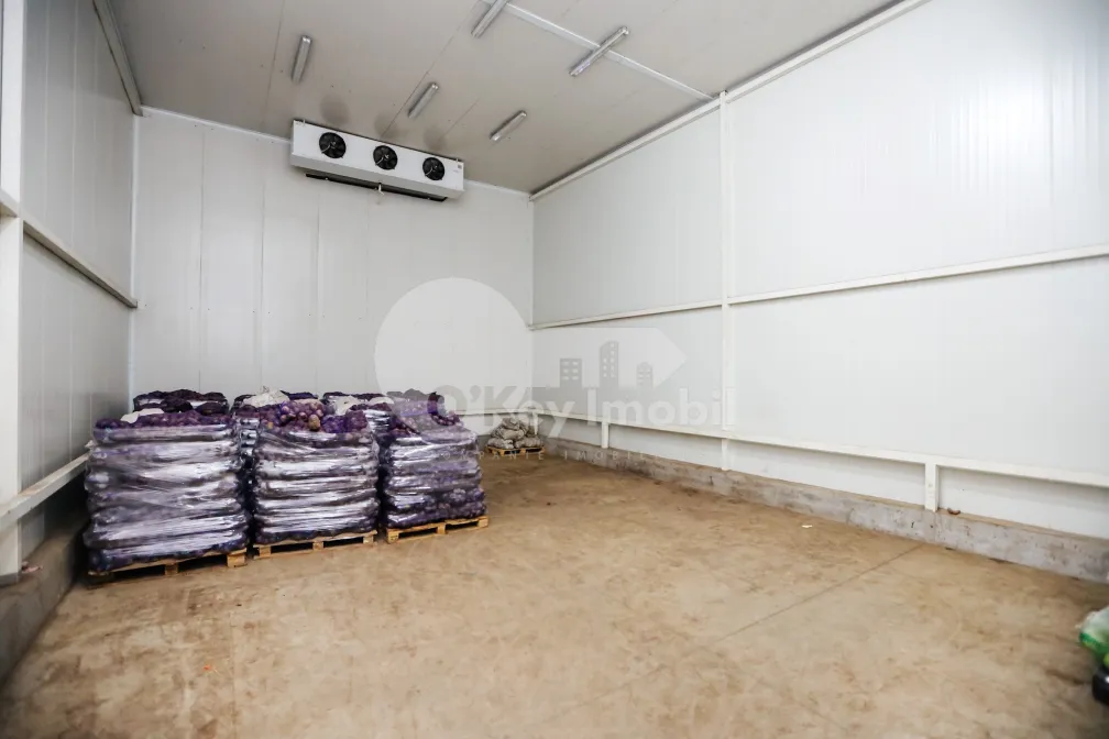 Склад, Чеканы, ВОЛУНТАРИЛОР