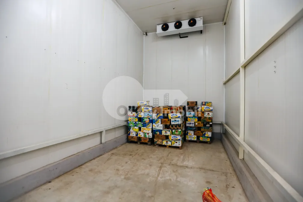 Склад, Чеканы, ВОЛУНТАРИЛОР