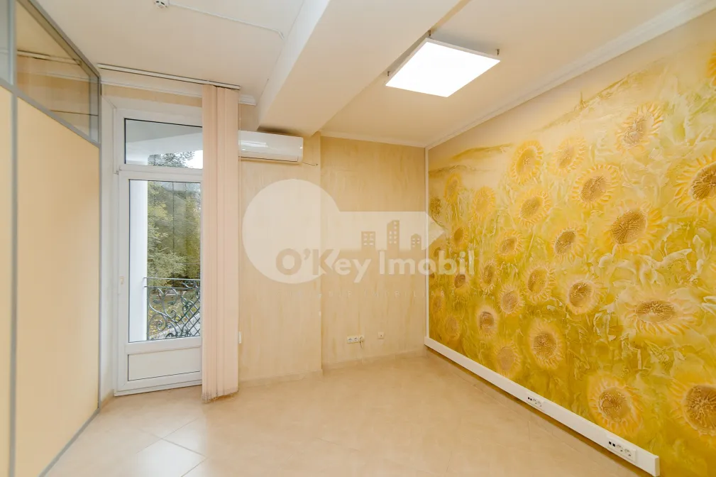 Oficiu, Centru, ALEXEI MATEEVICI