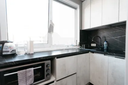 Квартира, Чеканы, МИХАИЛ САДОВЯНУ