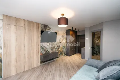 Квартира, Чеканы, МИХАИЛ САДОВЯНУ