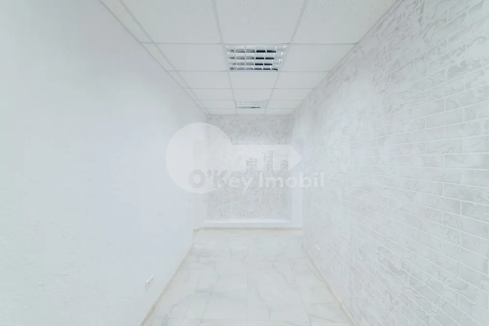 Комм. помещение, Ботаника, НИКОЛАЙ ЗЕЛИНСКОГО