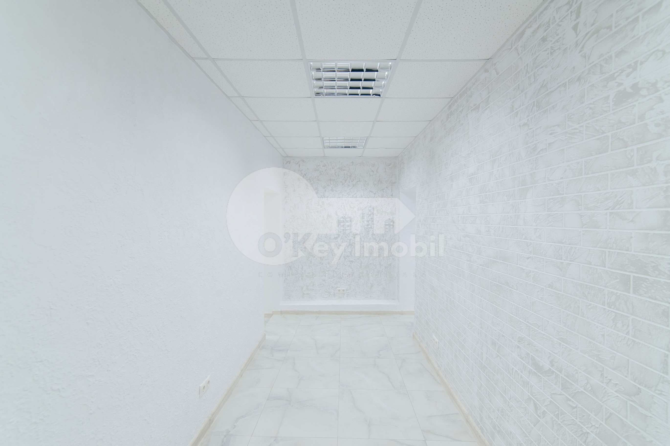 Spațiu comercial, Botanica, NIKOLAI ZELINSKI