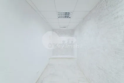 Комм. помещение, Ботаника, НИКОЛАЙ ЗЕЛИНСКОГО