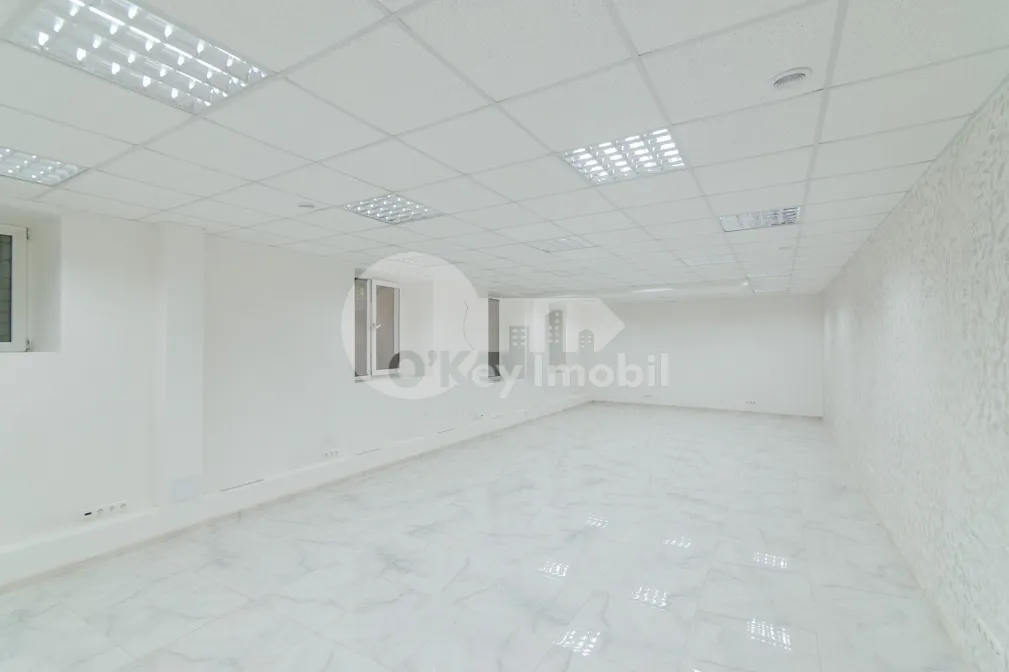 Комм. помещение, Ботаника, НИКОЛАЙ ЗЕЛИНСКОГО