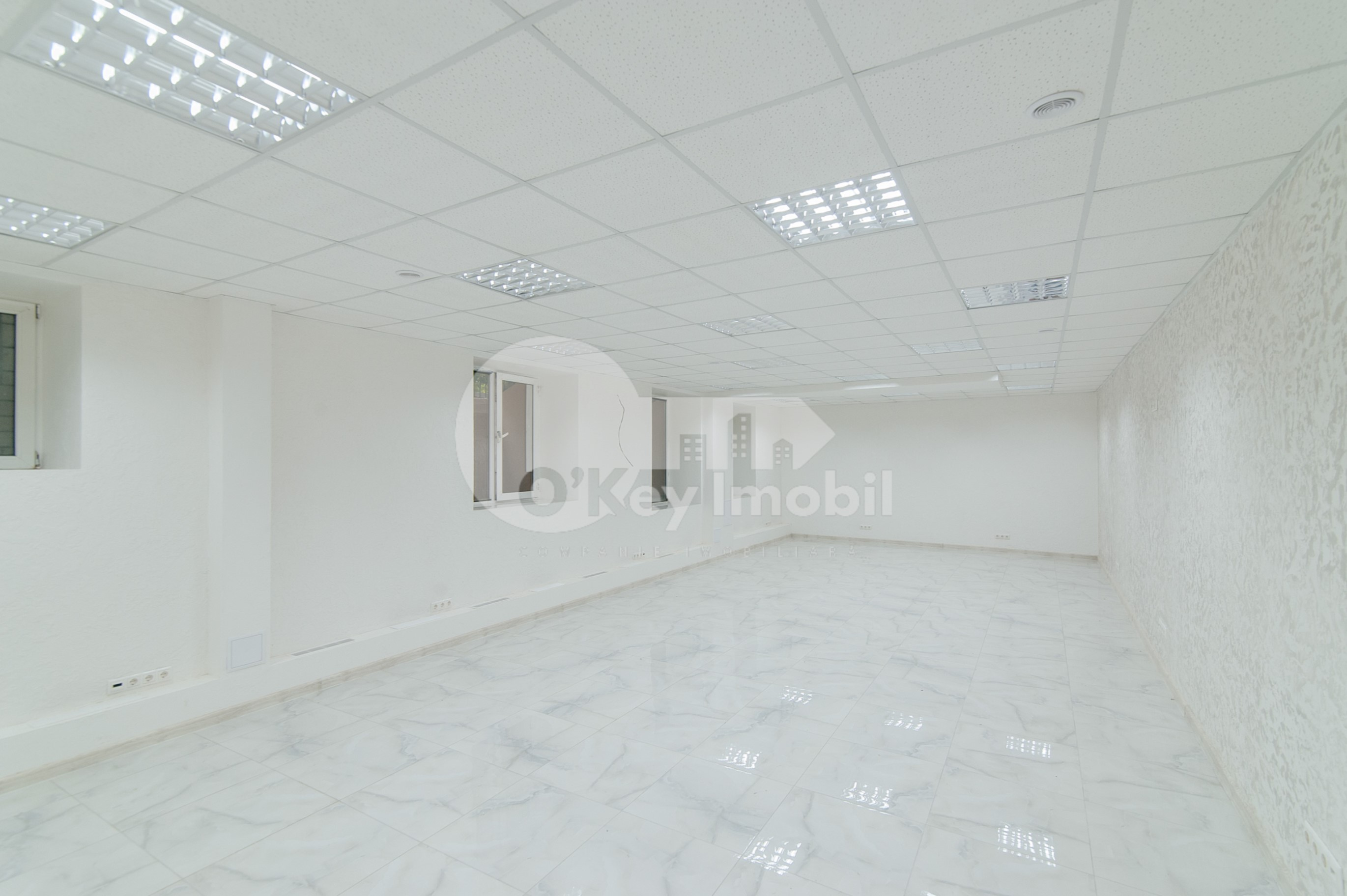 Spațiu comercial, Botanica, NIKOLAI ZELINSKI