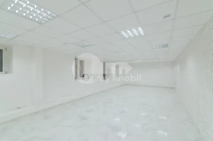 Комм. помещение, Ботаника, НИКОЛАЙ ЗЕЛИНСКОГО