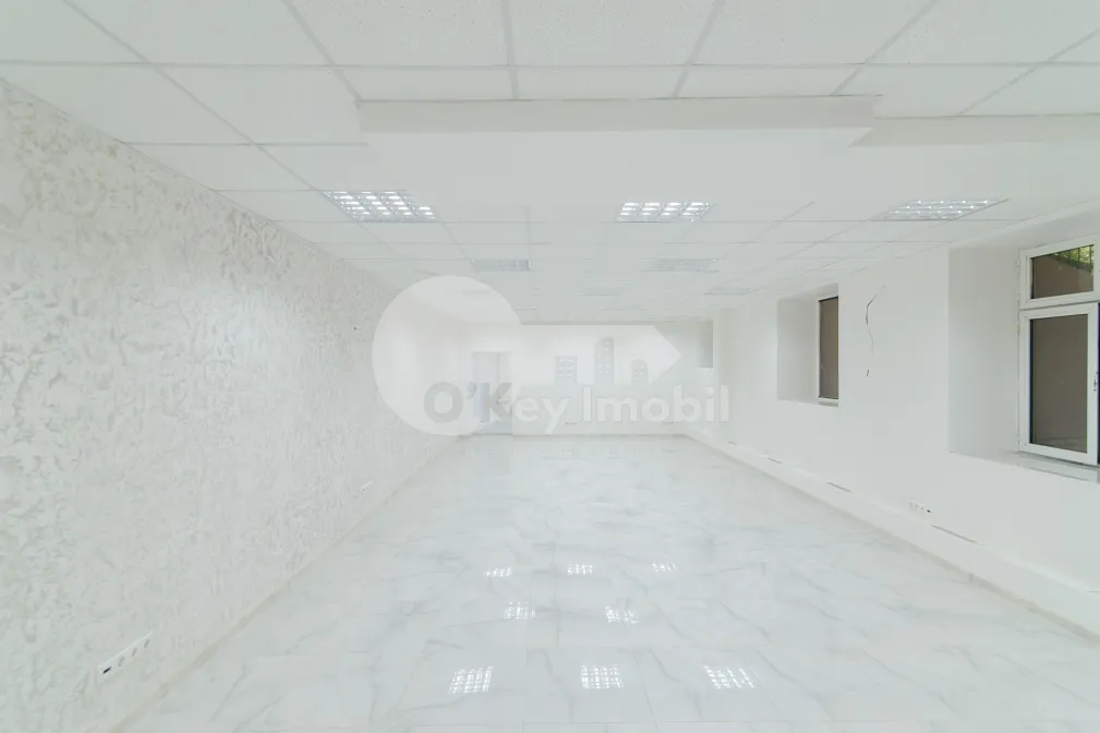 Комм. помещение, Ботаника, НИКОЛАЙ ЗЕЛИНСКОГО