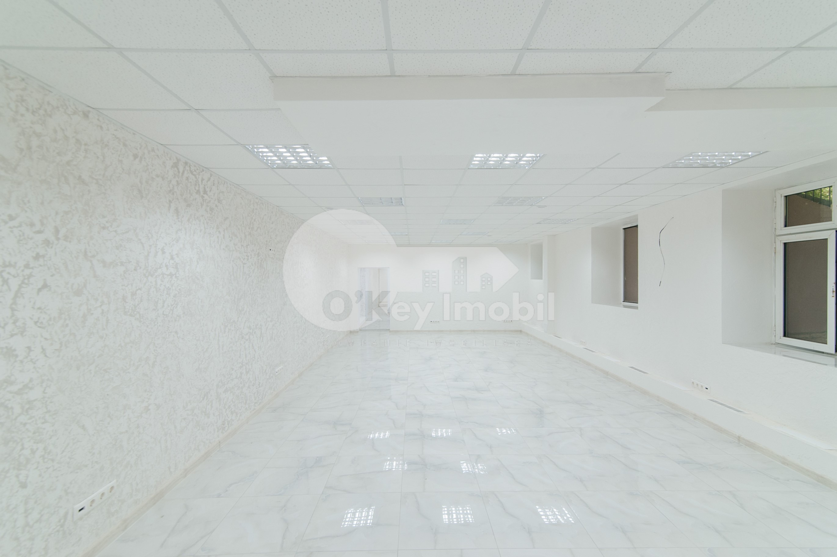 Spațiu comercial, Botanica, NIKOLAI ZELINSKI