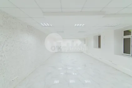 Комм. помещение, Ботаника, НИКОЛАЙ ЗЕЛИНСКОГО