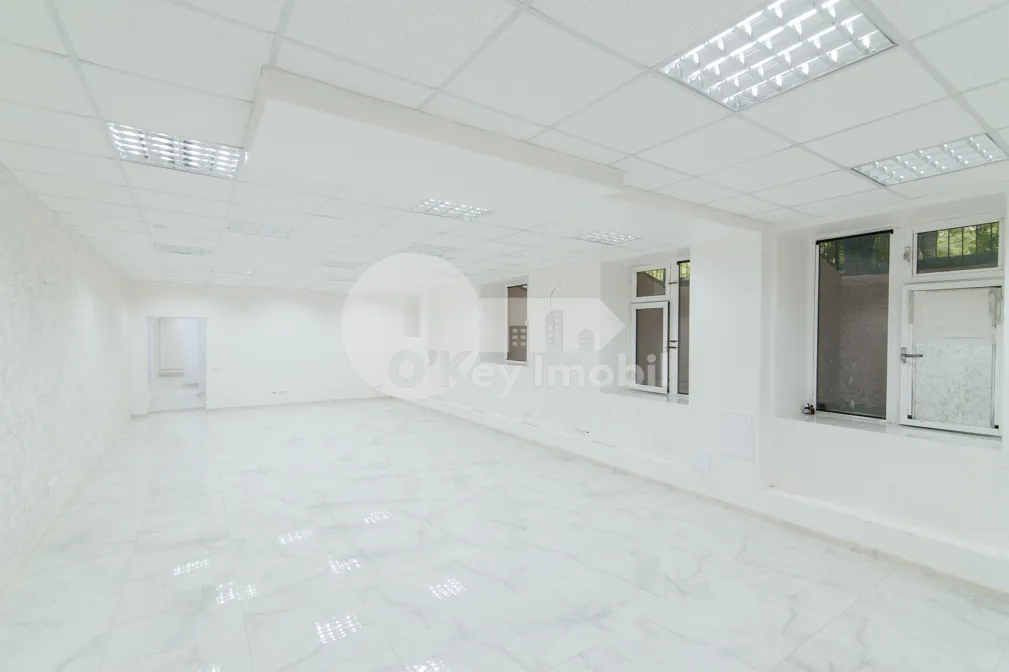 Комм. помещение, Ботаника, НИКОЛАЙ ЗЕЛИНСКОГО