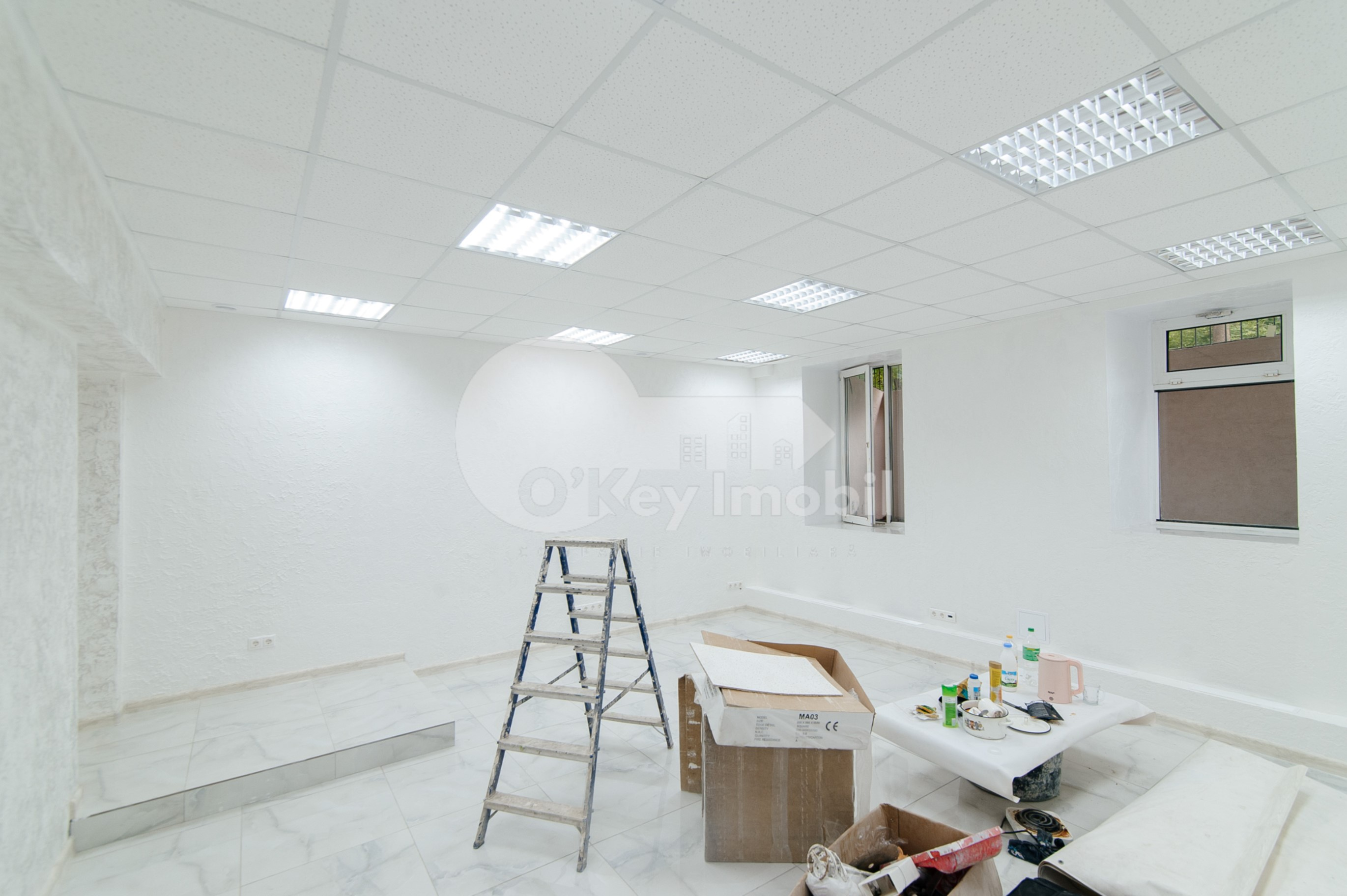 Spațiu comercial, Botanica, NIKOLAI ZELINSKI