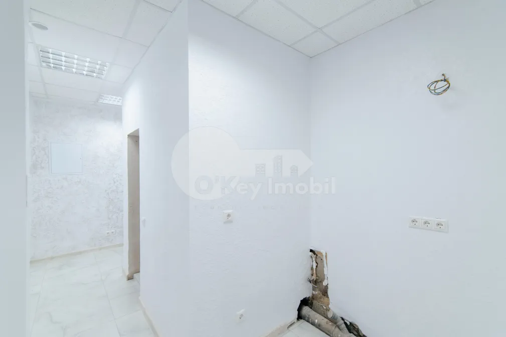 Комм. помещение, Ботаника, НИКОЛАЙ ЗЕЛИНСКОГО