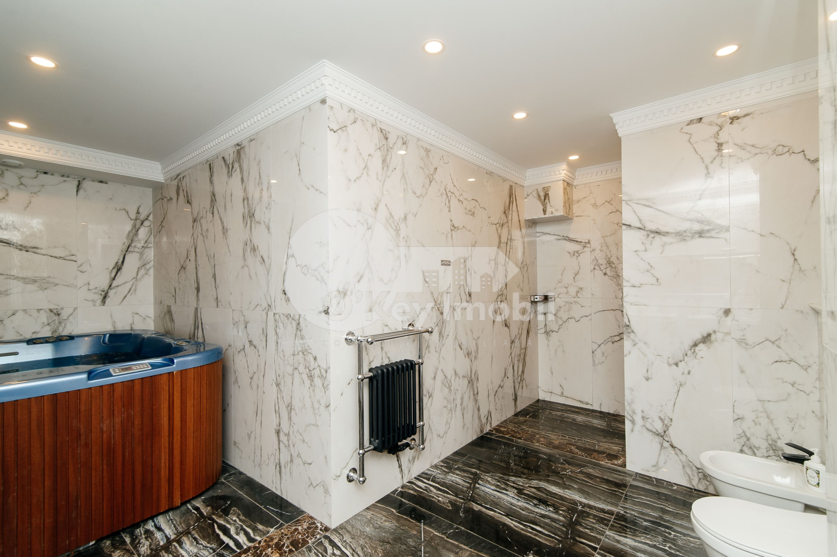 Casă, Râșcani, GHERMAN PÂNTEA