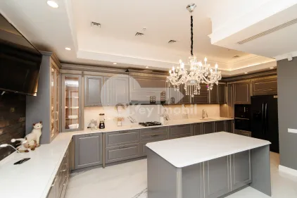 Дом, Рышкановка, ГЕРМАН ПЫНТЯ