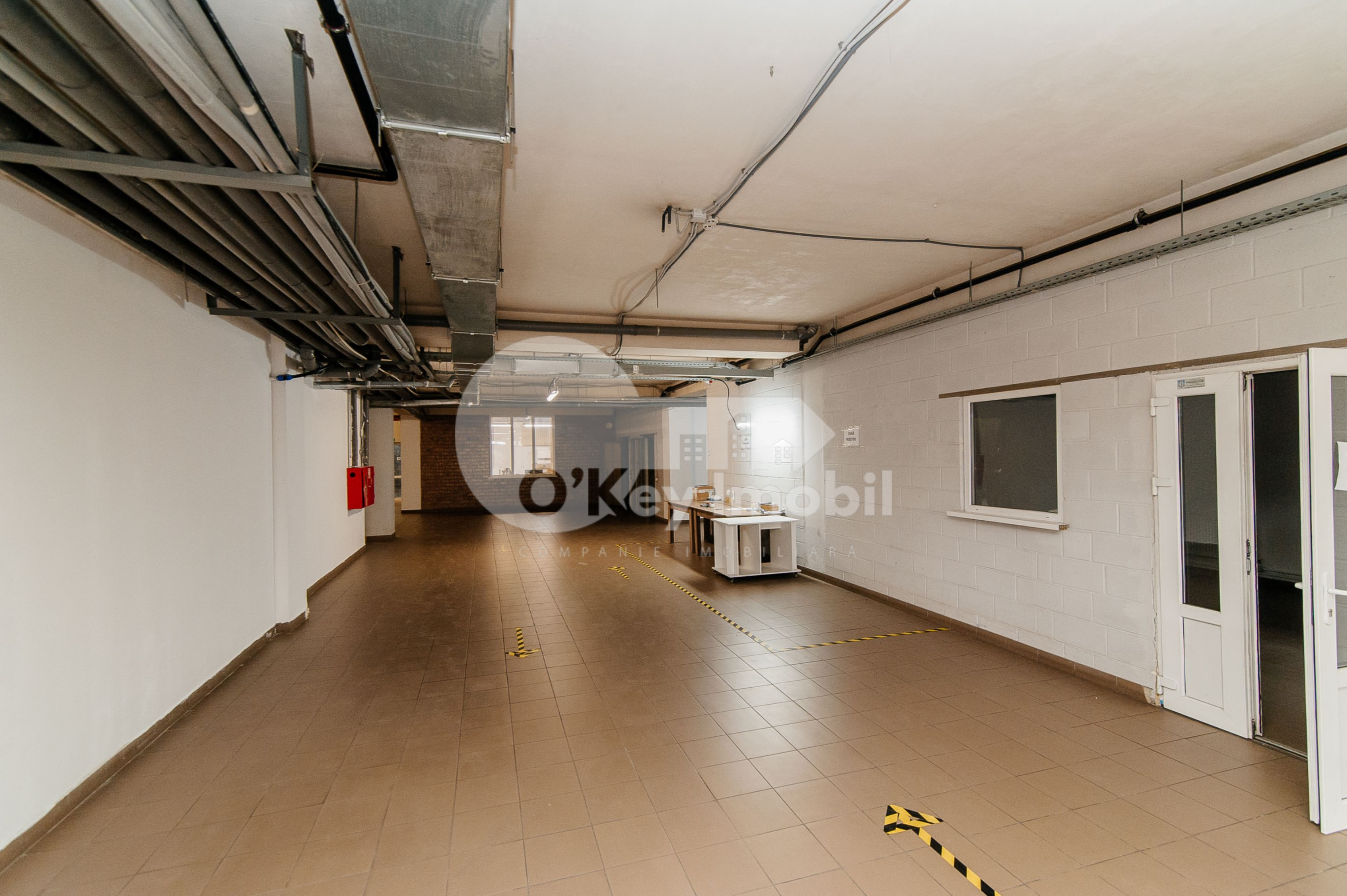 Depozit, Râșcani, ALBIȘOARA