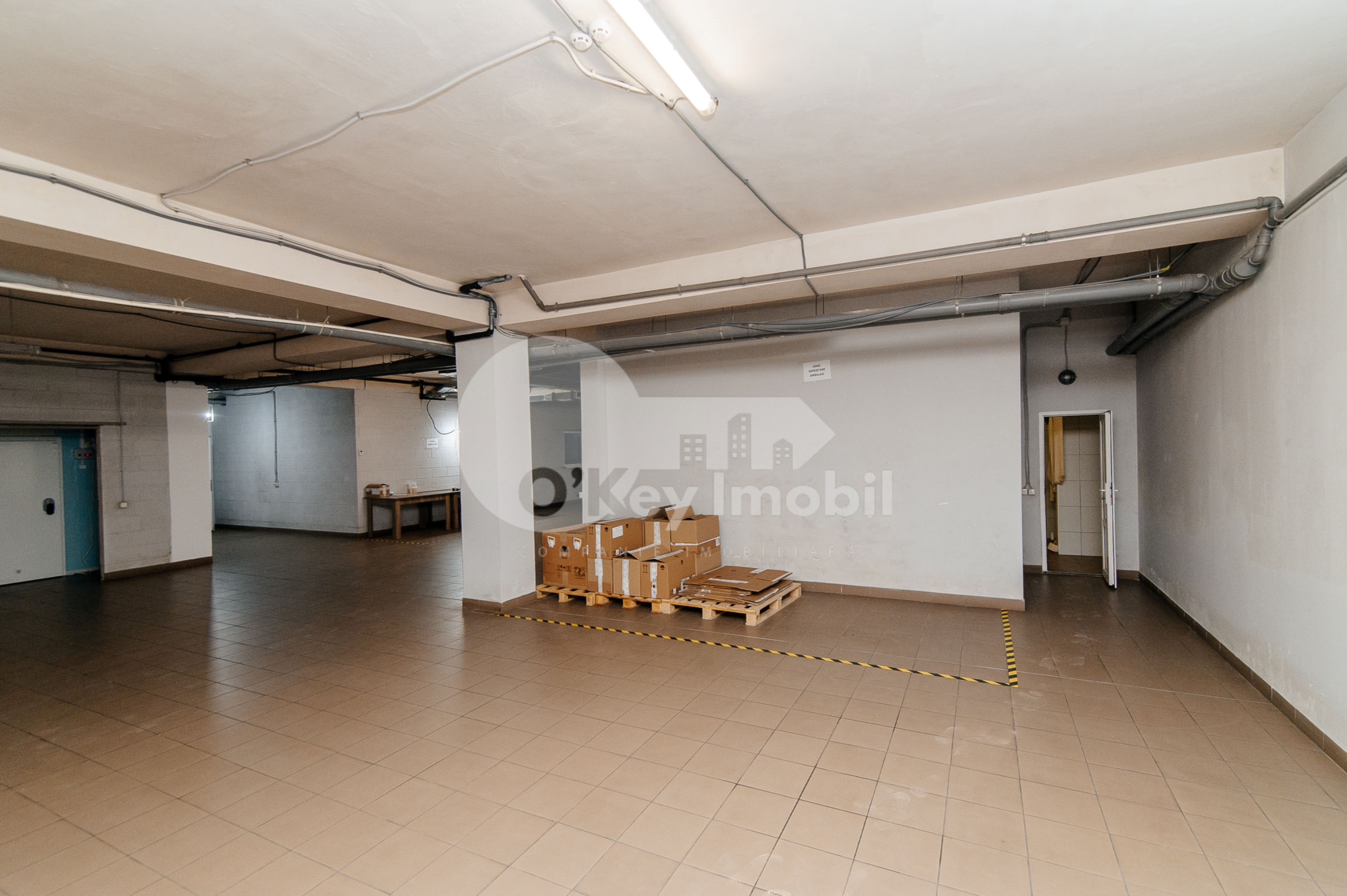 Depozit, Râșcani, ALBIȘOARA