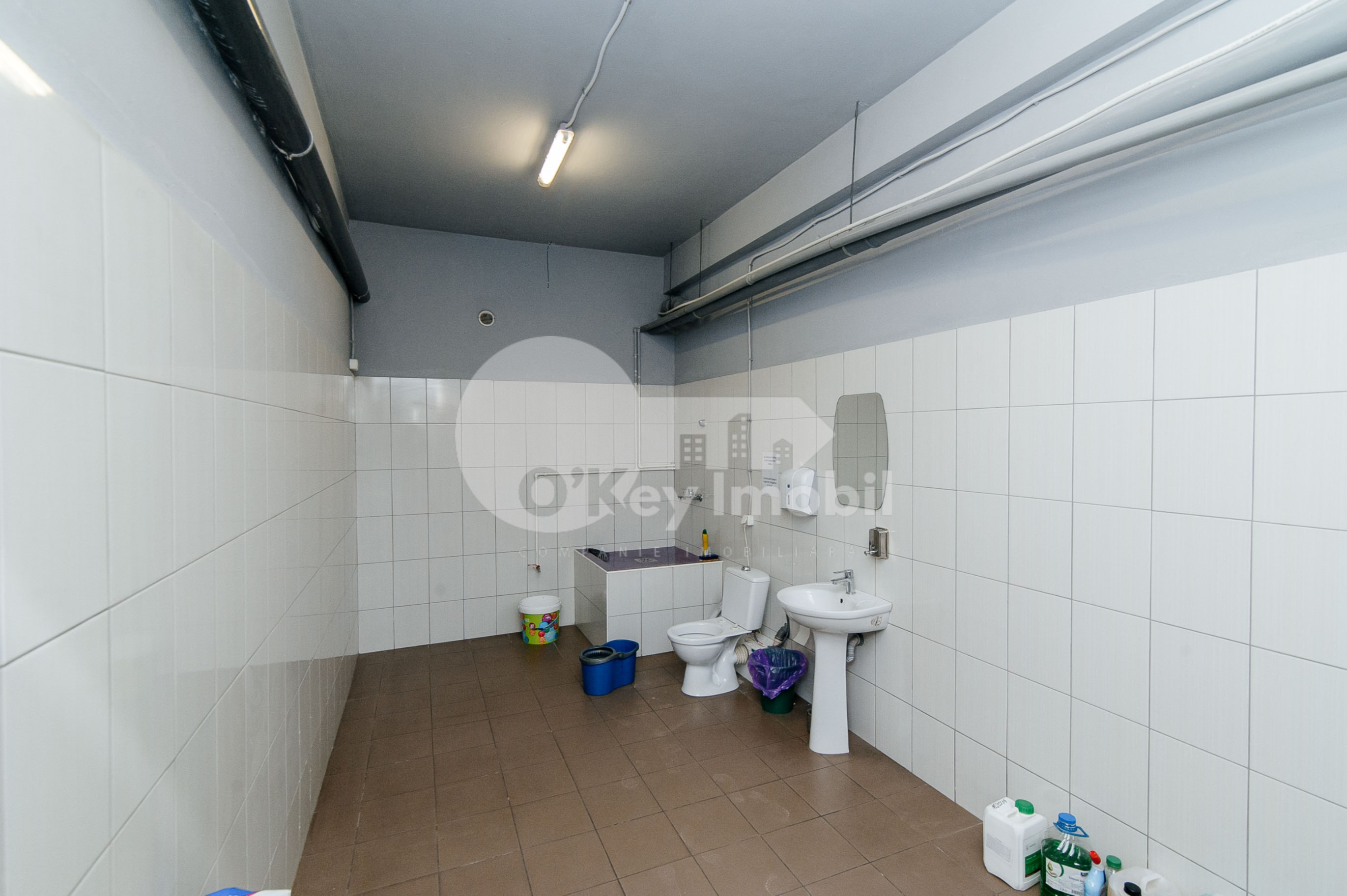 Depozit, Râșcani, ALBIȘOARA