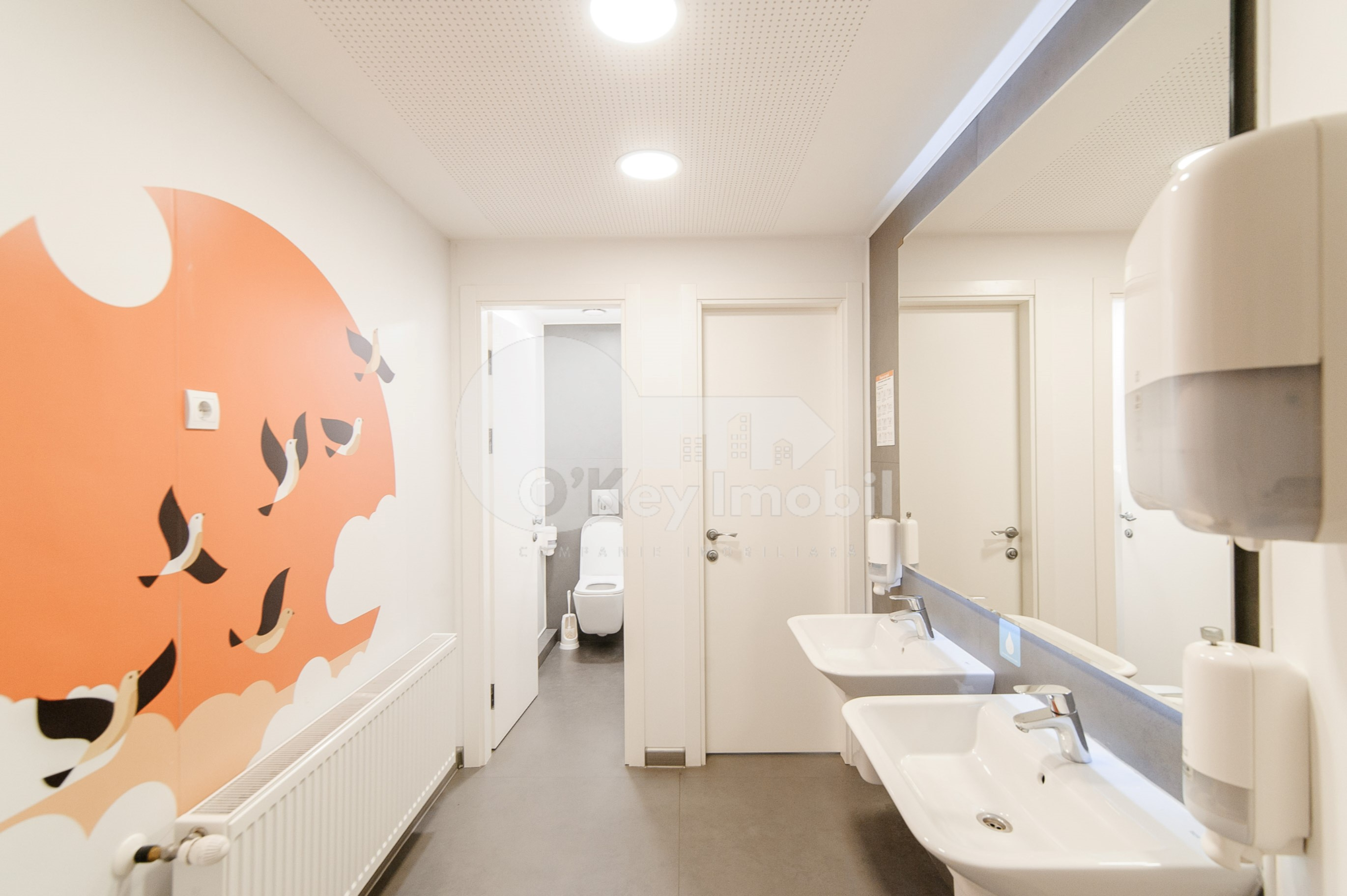 Spațiu comercial, Buiucani, ALBA IULIA