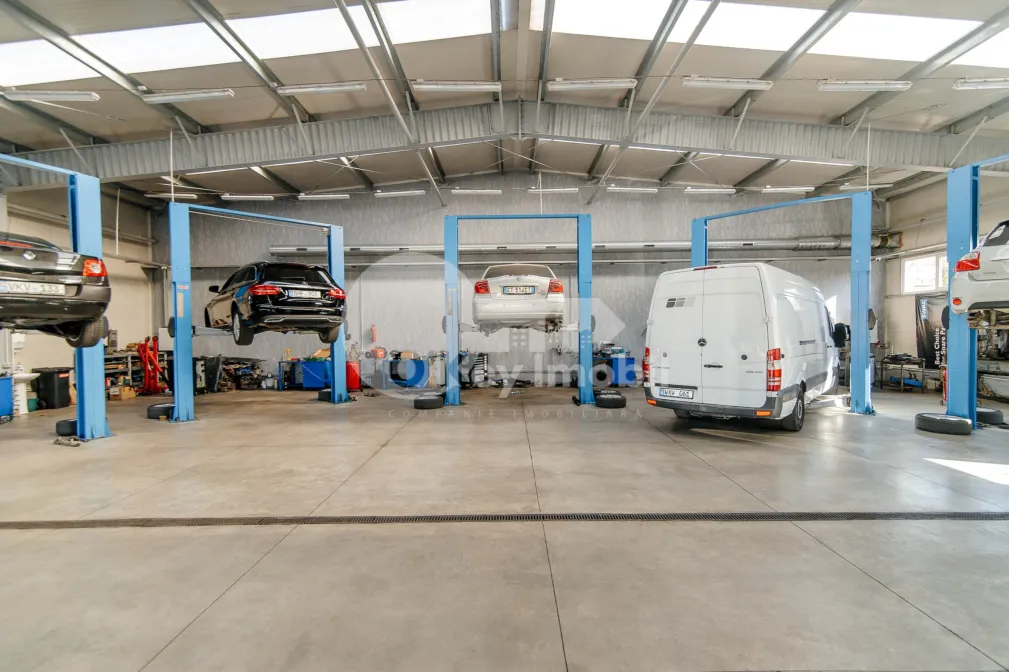 Активный бизнес, БОТАНИКА