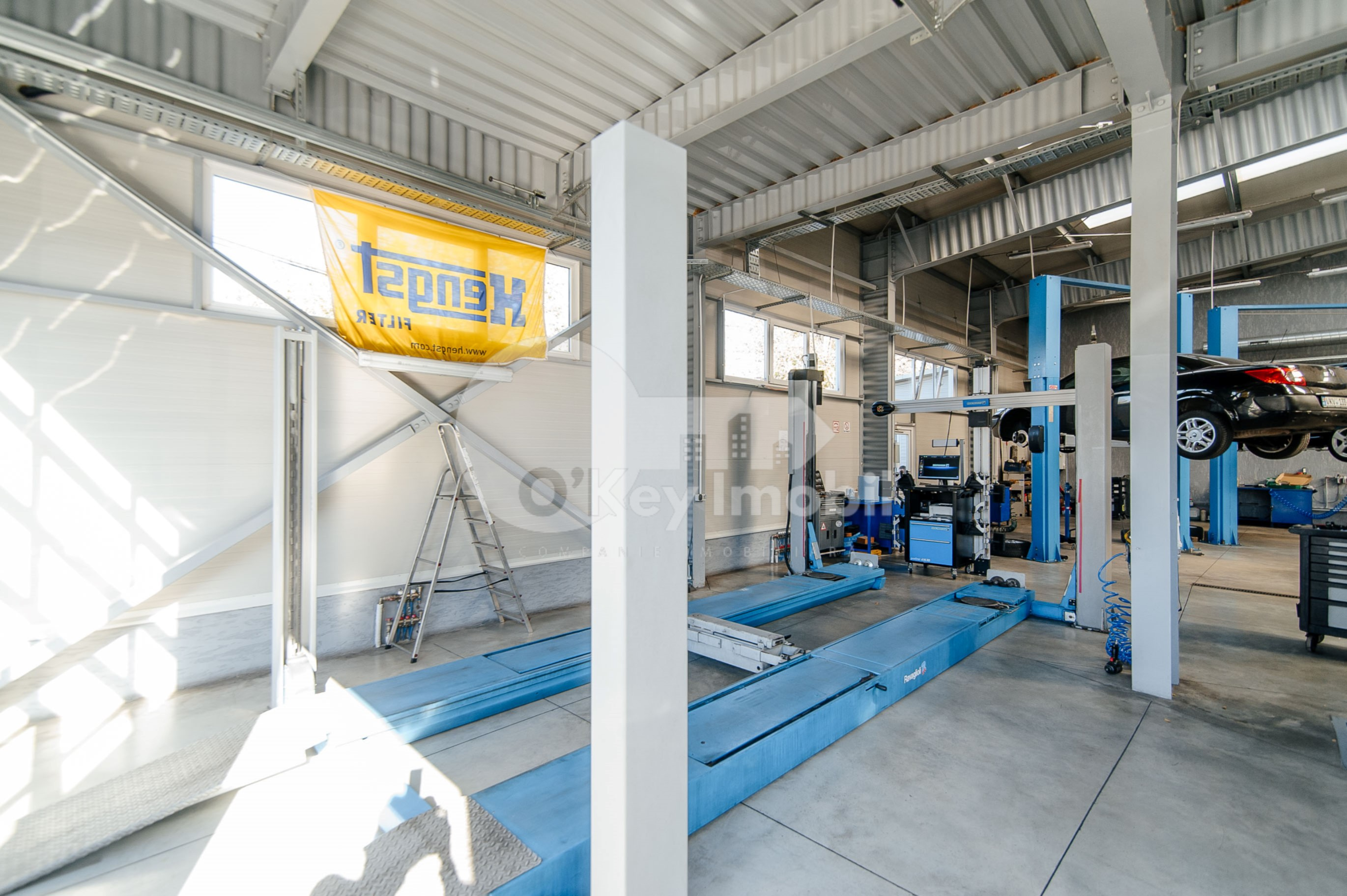 Afacere activă, BOTANICA