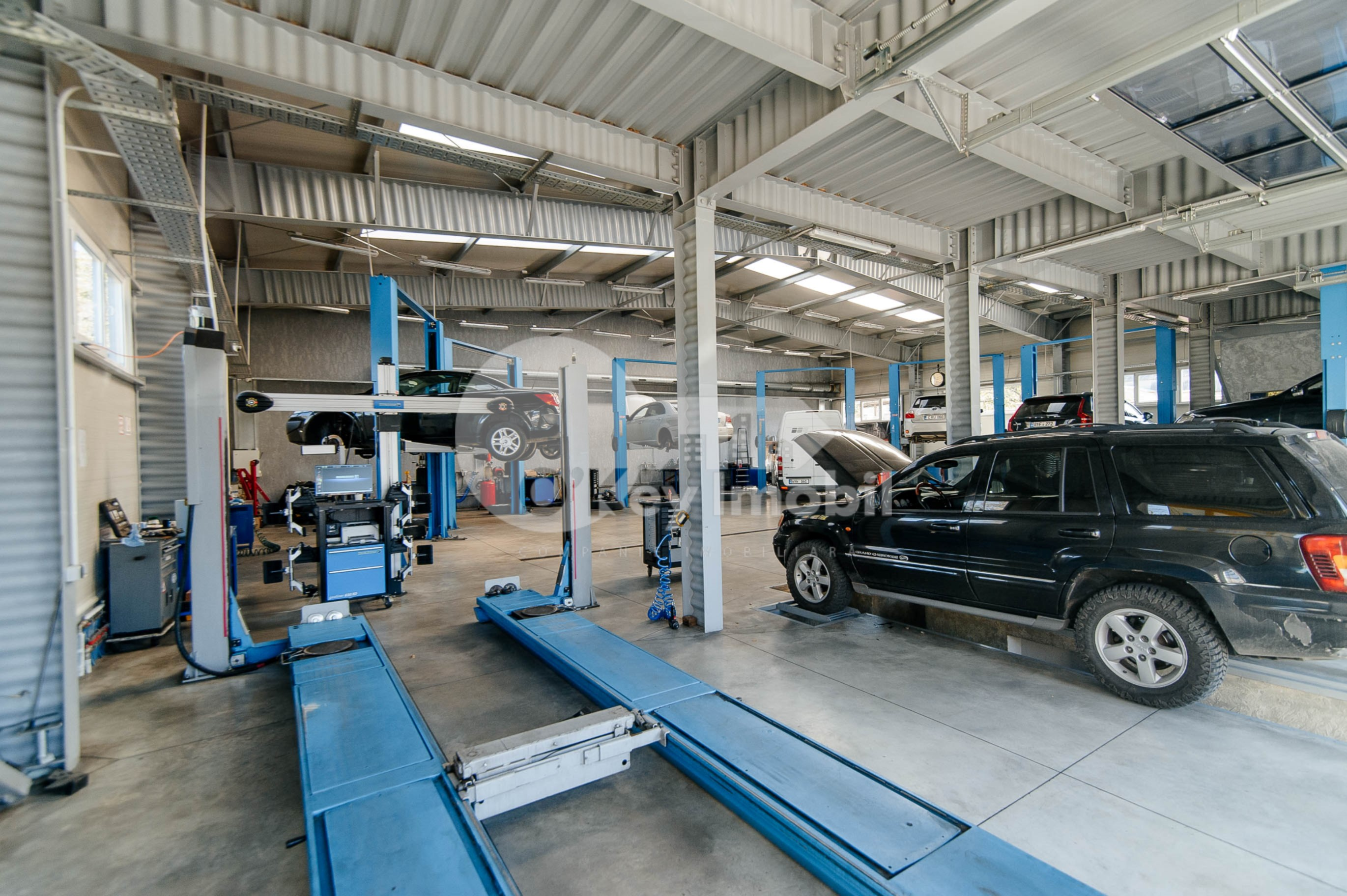 Afacere activă, BOTANICA