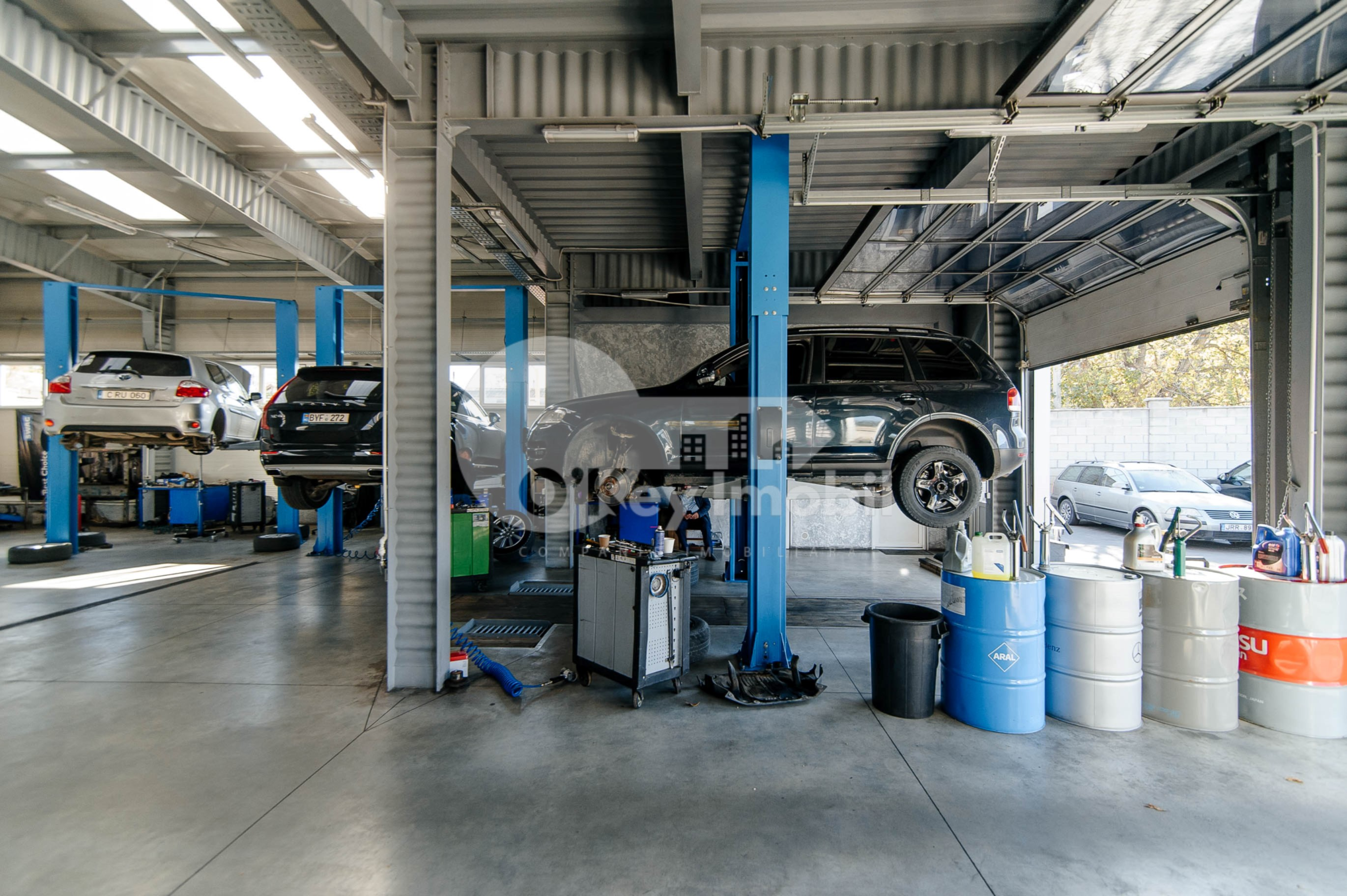 Afacere activă, BOTANICA