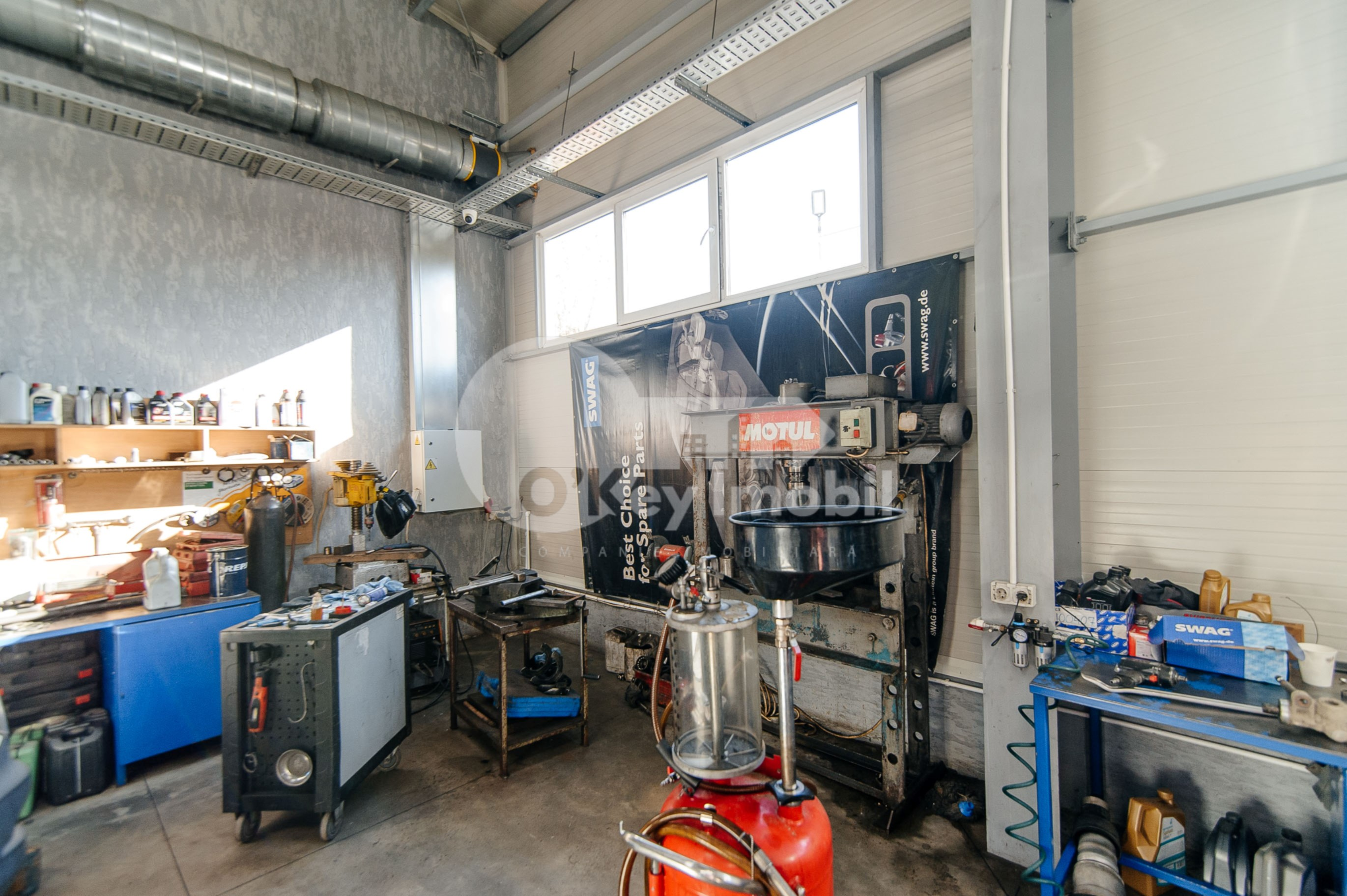 Afacere activă, BOTANICA