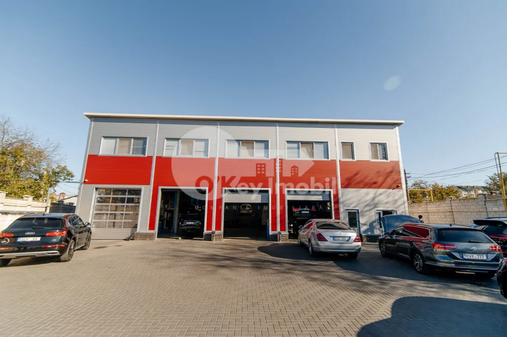 Активный бизнес, БОТАНИКА