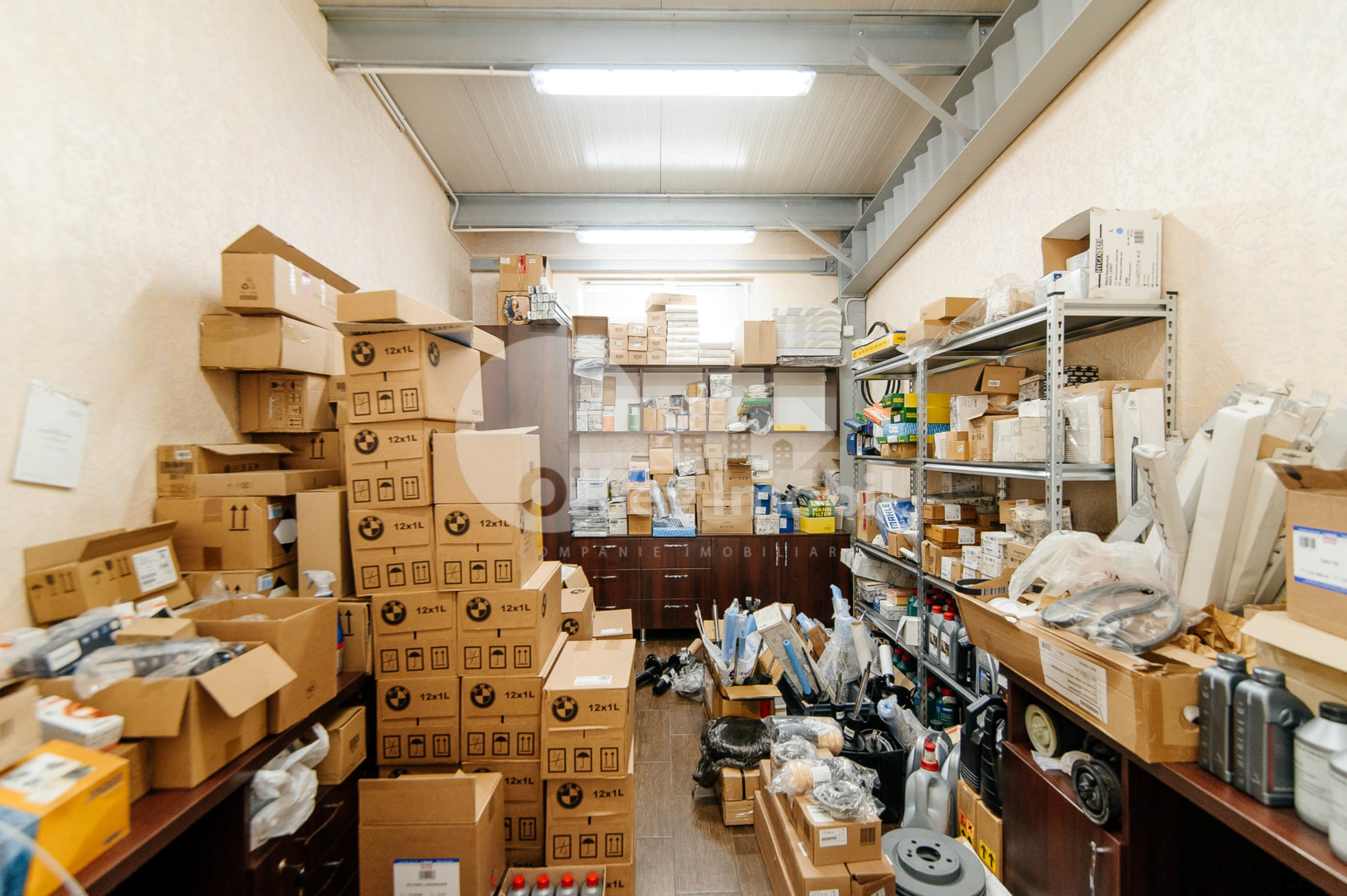 Afacere activă, BOTANICA