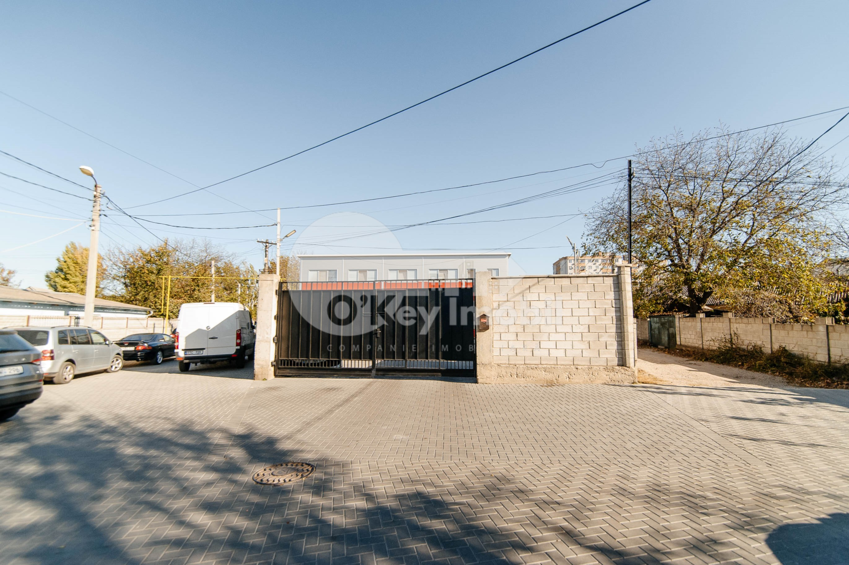 Afacere activă, BOTANICA