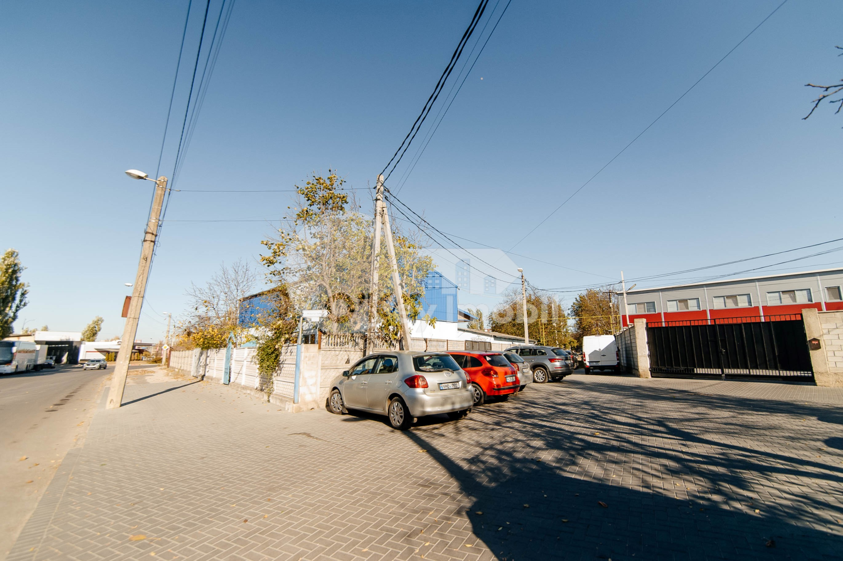 Afacere activă, BOTANICA