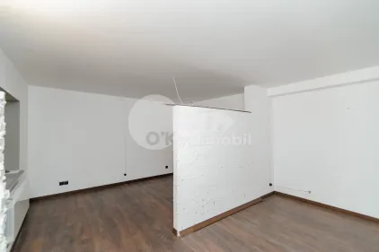 Офис, Центр, ЛЭПУШНЯНУ