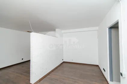 Офис, Центр, ЛЭПУШНЯНУ