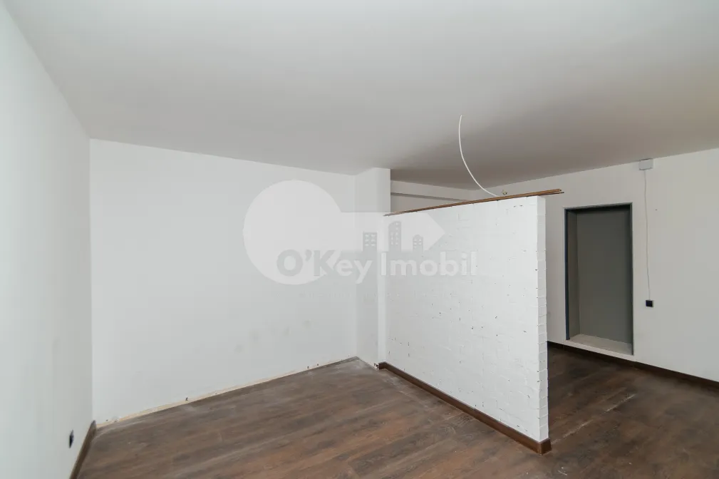 Офис, Центр, ЛЭПУШНЯНУ