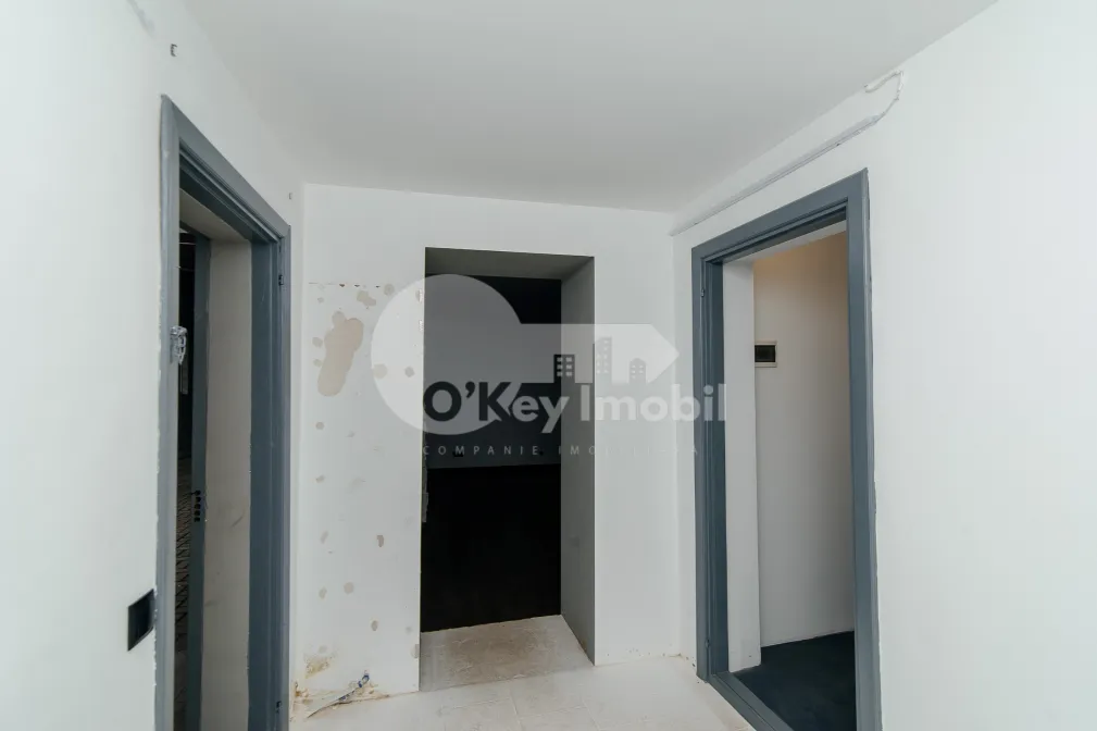 Офис, Центр, ЛЭПУШНЯНУ